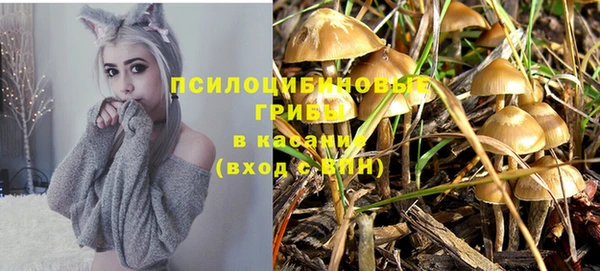 ECSTASY Карпинск