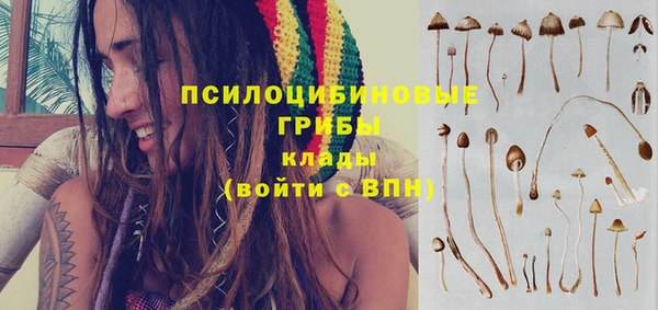 ALPHA PVP Касимов