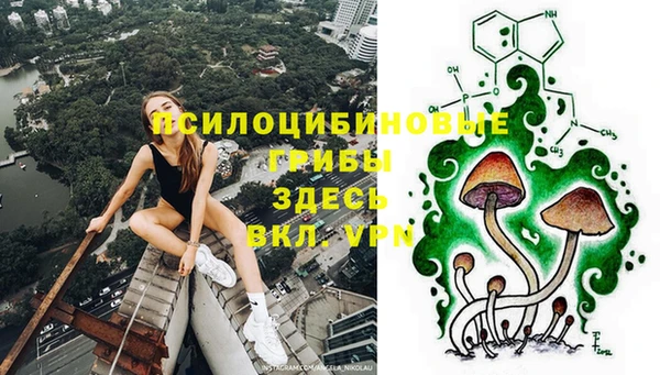 ALPHA PVP Касимов